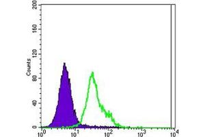 Flow cytometric analysis of MCF-7 cells using ERBB2 mouse mAb (green) and negative control (purple). (ErbB2/Her2 antibody  (AA 750-987))