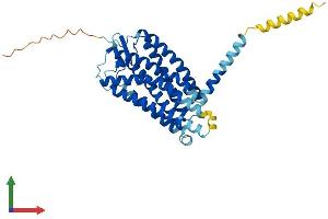 AlphaFold protein structure predicition of Human Recombinant GPR183 Protein, UniprotID P32249 (GPR183 Protein (AA 1-361) (His tag))