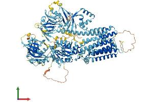 AlphaFold protein structure predicition of Mouse Recombinant Atp13a4 Protein, UniprotID Q5XF90 (ATP13A4 Protein (AA 1-1193) (His tag))