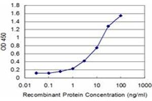 Detection limit for recombinant GST tagged TCAP is approximately 0. (TCAP antibody  (AA 1-167))