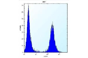 FLNA Antibody  (ABIN392193 and ABIN2841898) flow cytometric analysis of  cells (right histogram) compared to a negative control cell (left histogram). (Filamin A antibody  (AA 1025-1054))