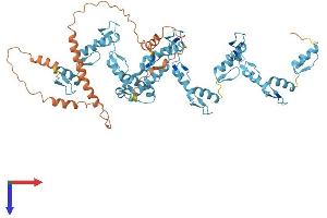 AlphaFold protein structure predicition of Human Recombinant ZNF728 Protein, UniprotID P0DKX0 (ZNF728 Protein (AA 1-622) (His tag))