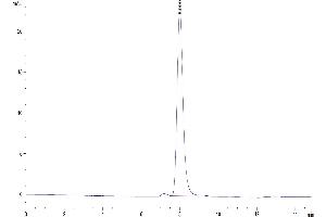 The purity of Rhesus macaque ITGAV&ITGB8 is greater than 95 % as determined by SEC-HPLC.