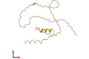 AlphaFold protein structure predicition of Human Recombinant COLCA1 Protein, UniprotID Q6ZS62 (COLCA1 Protein (AA 1-124) (His tag))