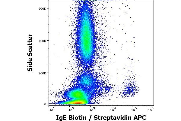 IgE antibody  (Biotin)