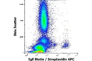 Flow cytometry surface staining pattern of human peripheral whole blood stained using anti-human IgE (BE5) Biotin antibody (concentration in sample 4 μg/mL) Streptavidin APC. (IgE antibody  (Biotin))