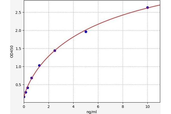 CBX3 ELISA Kit