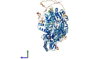 Protein Structure (PS) image for DEAH (Asp-Glu-Ala-His) Box Polypeptide 30 (DHX30) (AA 1-1217) protein (His tag) (ABIN7564930)
