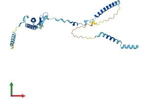 AlphaFold protein structure predicition of Human Recombinant ISY1 Protein, UniprotID Q9ULR0 (ISY1 Protein (AA 1-285) (His tag))