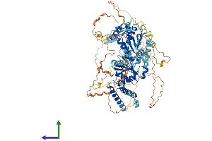 Protein Structure (PS) image for DEAD (Asp-Glu-Ala-Asp) Box Polypeptide 24 (DDX24) (AA 1-857) protein (His tag) (ABIN7561485)