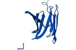 AlphaFold protein structure predicition of Human Recombinant FABP5P3 Protein, UniprotID A8MUU1