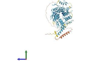 AlphaFold protein structure predicition of Human Recombinant ZNF433 Protein, UniprotID Q8N7K0