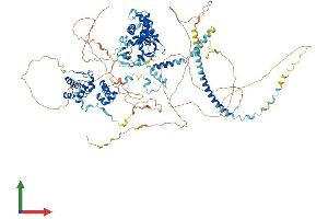 AlphaFold protein structure predicition of Mouse Recombinant Smarcc1 Protein, UniprotID P97496