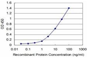 Detection limit for recombinant GST tagged CARF is approximately 1ng/ml as a capture antibody.