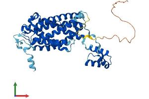 Protein Structure (PS) image for Ceramide Synthase 2 (CERS2) (AA 1-380) protein (His tag) (ABIN7560265)