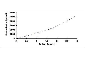 Typical standard curve (Claudin 1 ELISA Kit)