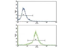 Flow cytometric analysis of K562 cells using SOD3 antibody (green) compared to a negative control (blue). (SOD3 antibody  (AA 7-36))