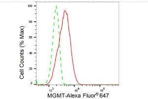 Flow cytometric analysis of MGMT expression in HeLa cells using MGMT antibody (ABIN7799697), 1:2,000). (Recombinant MGMT antibody)