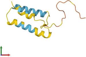 AlphaFold protein structure predicition of Human Recombinant BLCAP Protein, UniprotID P62952