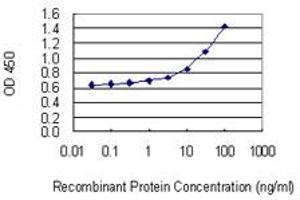 Detection limit for recombinant GST tagged ACD is 0. (ACD antibody  (AA 1-544))
