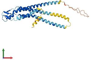 AlphaFold protein structure predicition of Mouse Recombinant Gja6 Protein, UniprotID Q6S5G4 (Gap Junction Protein, alpha 6 (GJA6) (AA 1-283) protein (His tag))