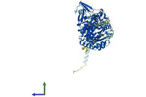 Protein Structure (PS) image for Mannosyl (Alpha-1,6-)-Glycoprotein beta-1,6-N-Acetyl-Glucosaminyltransferase (MGAT5) (AA 1-741) protein (His tag) (ABIN7554577)