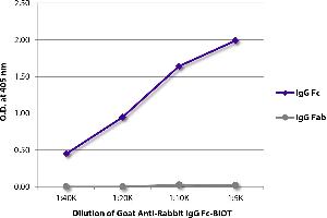 ELISA plate was coated with purified rabbit IgG Fc and IgG Fab. (Goat anti-Rabbit IgG (Fc Region) Antibody (Biotin))