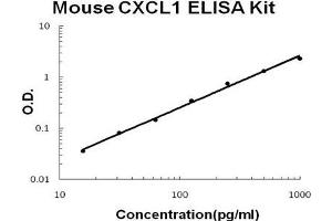 Mouse CXCL1 PicoKine ELISA Kit standard curve