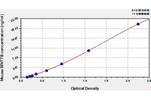 WNT7B ELISA Kit