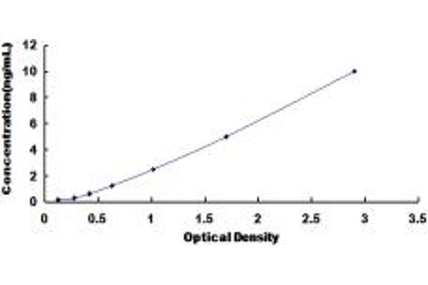 DHODH ELISA Kit