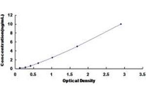 Typical standard curve (DHODH ELISA Kit)