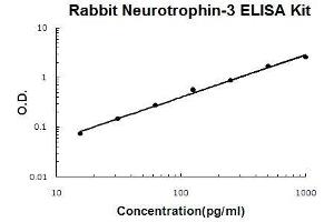 Rabbit Neurotrophin-3 PicoKine ELISA Kit standard curve (Neurotrophin 3 ELISA Kit)