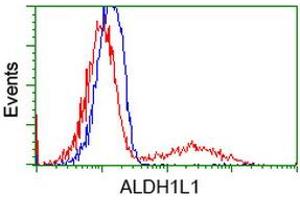 Flow Cytometry (FACS) image for anti-Aldehyde Dehydrogenase 1 Family, Member L1 (ALDH1L1) antibody (ABIN1496583) (ALDH1L1 antibody)