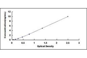 Typical standard curve (Filensin ELISA Kit)