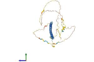 AlphaFold protein structure predicition of Mouse Recombinant Jund Protein, UniprotID P15066