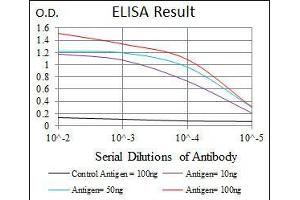 ELISA image for anti-Protein tyrosine Phosphatase, Non-Receptor Type 11 (PTPN11) (AA 263-329) antibody (ABIN1098117)