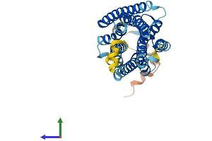 AlphaFold protein structure predicition of Mouse Recombinant Gnrhr Protein, UniprotID Q01776