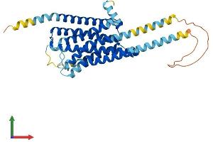 AlphaFold protein structure predicition of Mouse Recombinant Htr1f Protein, UniprotID Q02284