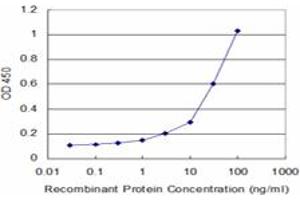 Detection limit for recombinant GST tagged NOV is approximately 1ng/ml as a capture antibody. (NOV antibody  (AA 1-357))