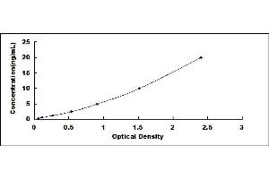 Typical standard curve (HDAC6 ELISA Kit)