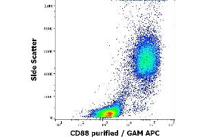 Flow cytometry surface staining pattern of human peripheral whole blood stained using anti-human CD88 (S5/1) purified antibody (concentration in sample 3 μg/mL, GAM APC). (C5AR1 antibody  (AA 15-27))