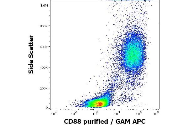 C5AR1 anticorps  (AA 15-27)
