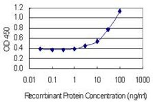 Detection limit for recombinant GST tagged RGMA is 1 ng/ml as a capture antibody. (RGMA antibody  (AA 326-423))