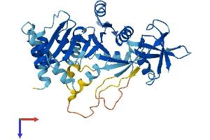AlphaFold protein structure predicition of Mouse Recombinant Drg2 Protein, UniprotID Q9QXB9 (DRG2 Protein (AA 1-364) (His tag))