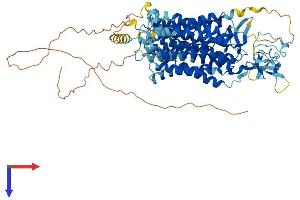 AlphaFold protein structure predicition of Mouse Recombinant Slco4a1 Protein, UniprotID Q8K078 (SLCO4A1 Protein (AA 1-723) (His tag))