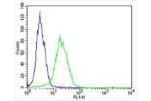 Overlay histogram showing HT-29 cells stained with (ABIN6242830 and ABIN6577992) (green line). (Sonic Hedgehog antibody  (N-Term))