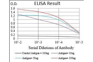 Black line: Control Antigen (100 ng), Purple line: Antigen(10 ng), Blue line: Antigen (50 ng), Red line: Antigen (100 ng), (SMCP antibody  (AA 1-116))