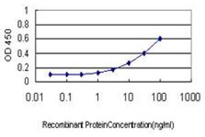Detection limit for recombinant GST tagged NODAL is approximately 0. (Nodal antibody  (AA 275-346))