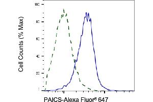 Validation of PAICS knockdown using flow cytometry. (PAICS antibody)