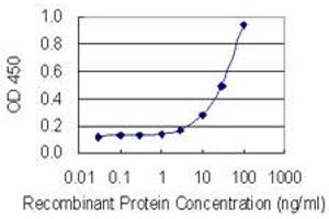 Detection limit for recombinant GST tagged PLG is 1 ng/ml as a capture antibody. (PLG antibody  (AA 21-120))